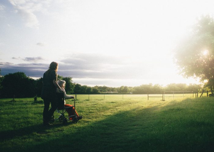 dominik-lange-VUOiQW4OeLI-unsplash dominik-lange-VUOiQW4OeLI-unsplash